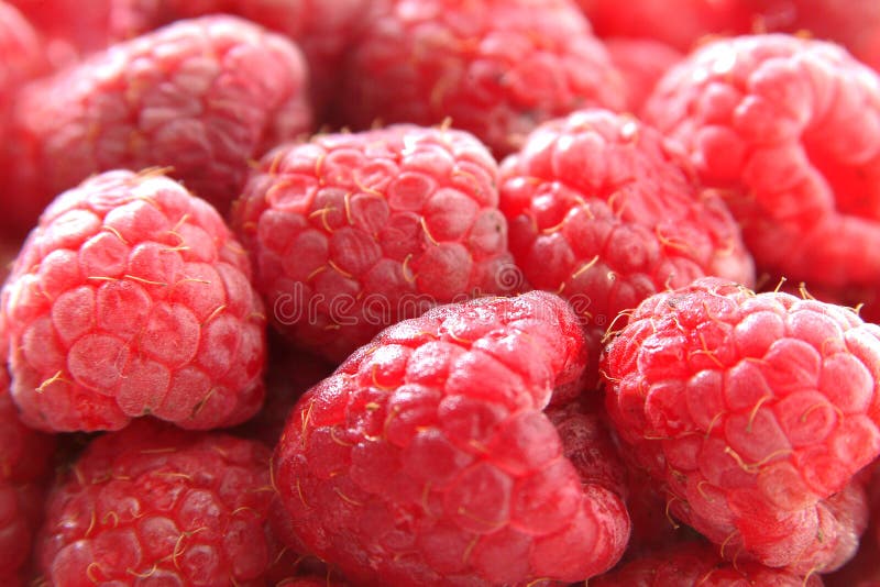 Close-up of raspberry. Close-up of raspberry