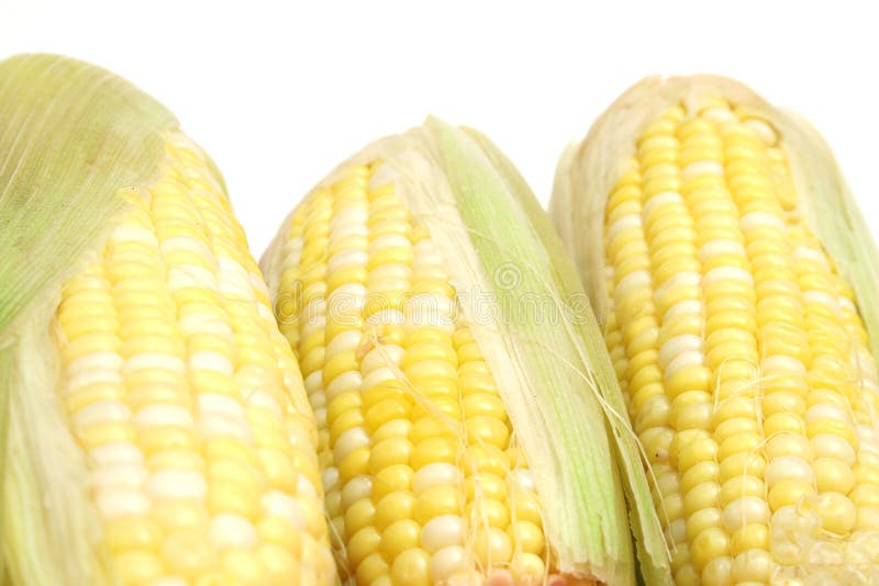 3 Ears Of Candy Corn Picture. Image 2350122