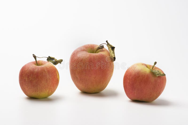 3 apples with leaves on a white background. 3 apples with leaves on a white background.