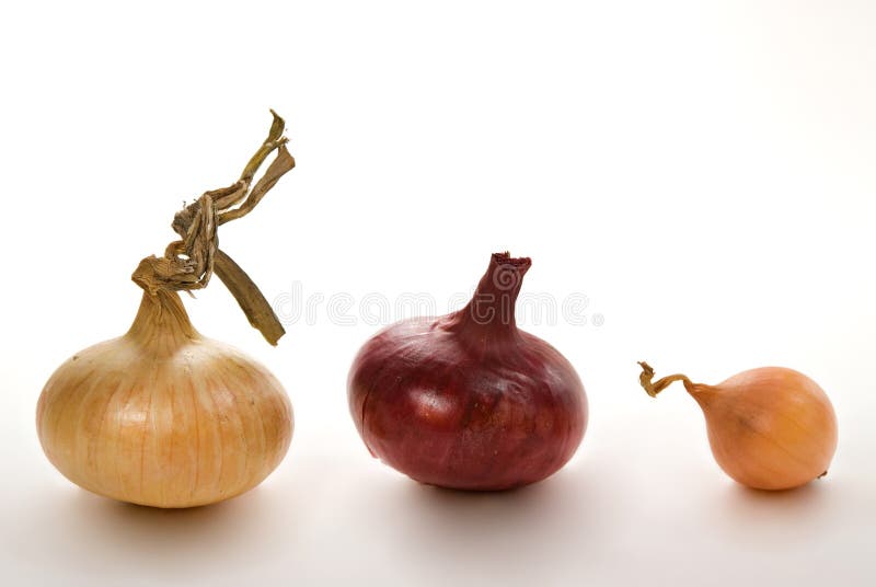 Stock Photos and RoyaltyFree Images by Dreamstime