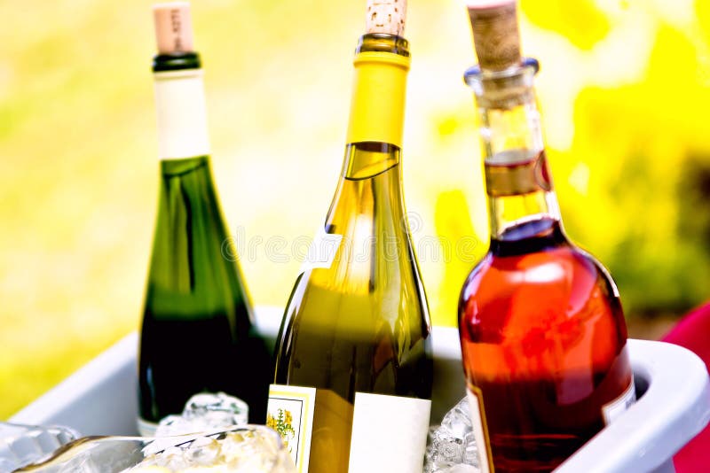 Wine thermometer stock photo. Image of white, close, thermometer - 2075802