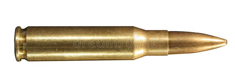 .308 winchester round