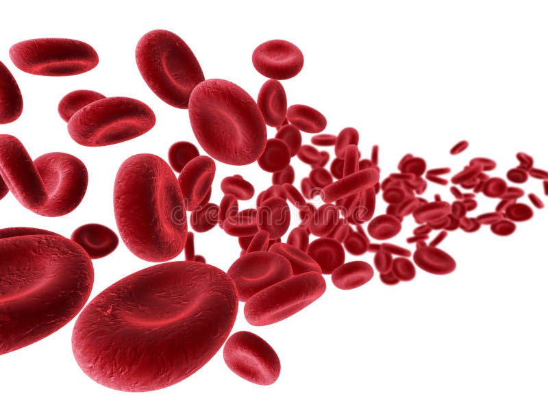 3d coulant des globules sanguins