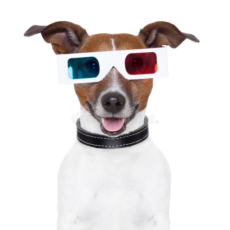 3d glasses movie cinema dog