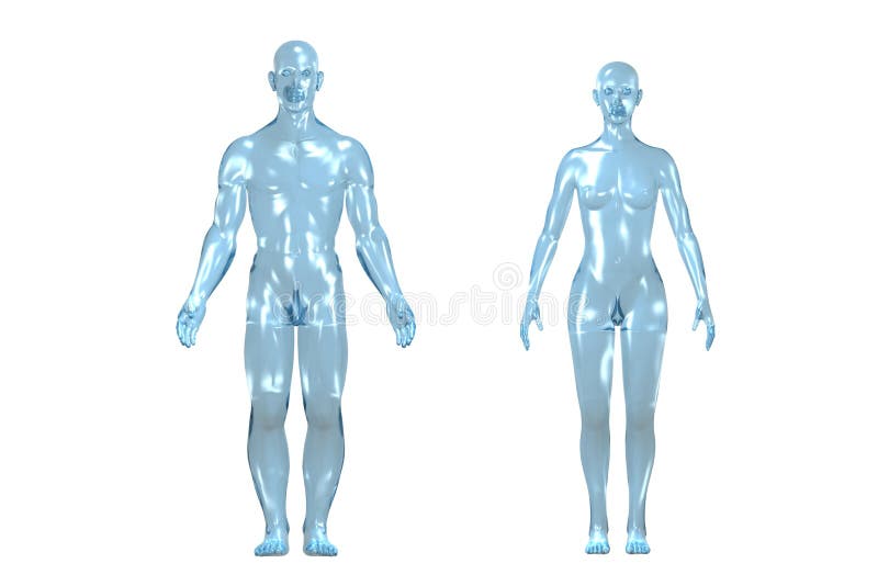 3D human body