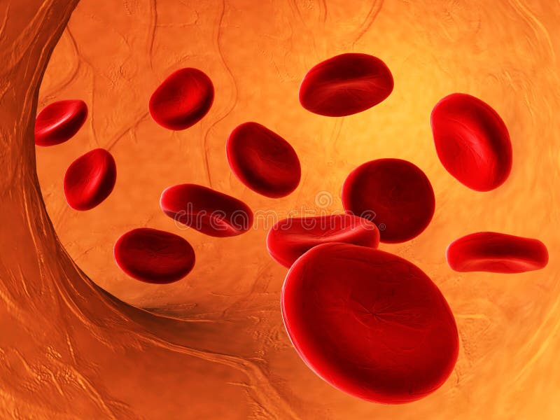 3D rendered blood cells flowing in artery