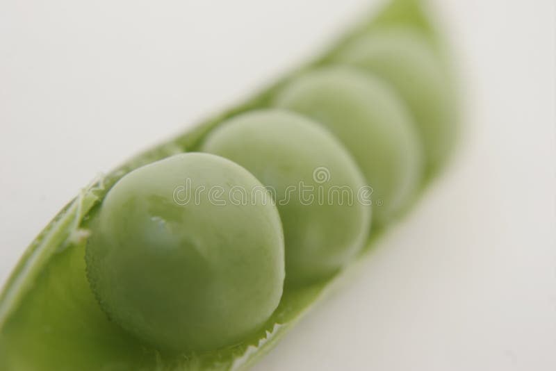 4 peas in a pod stock photo. Image of food, vegetable, four 142474