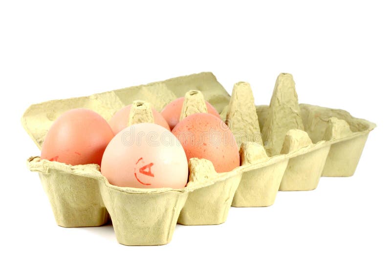 5 eggs in carton egg pack