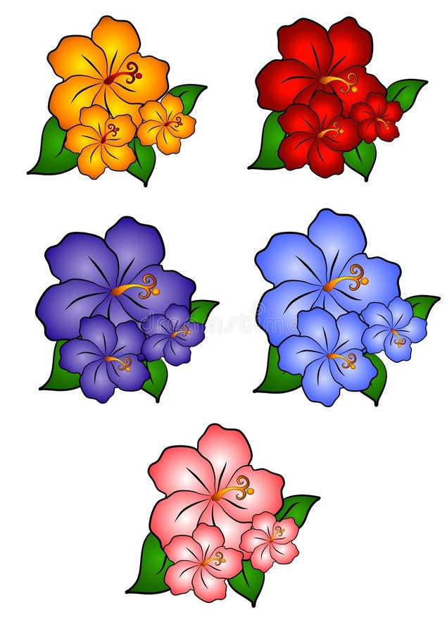 5 fleurs hawaïennes de ketmie illustration stock 5 fleurs hawaïennes de ketmie illustration stock