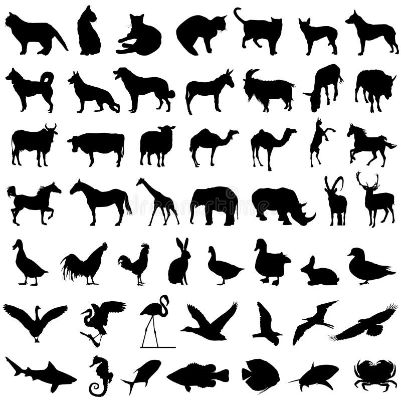 50 animal vector