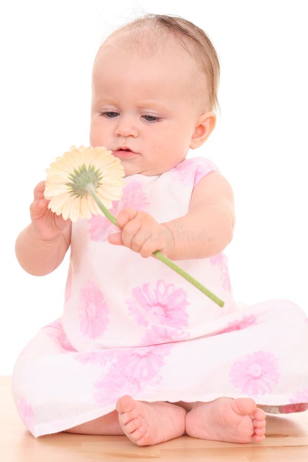 6 Months Baby Girl with Flower Stock Image Image of child, girl 3187177