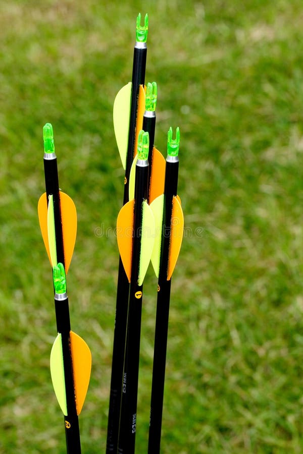 Six coloured arrows for a round in archery with narrow depth of field. The picture clearly shows fletching and the nock. Six coloured arrows for a round in archery with narrow depth of field. The picture clearly shows fletching and the nock