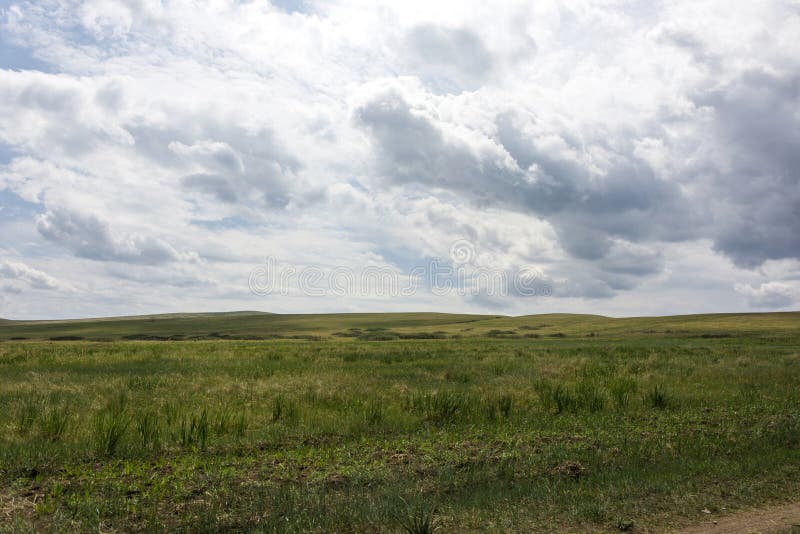 -999999999 fotografia de stock royalty free