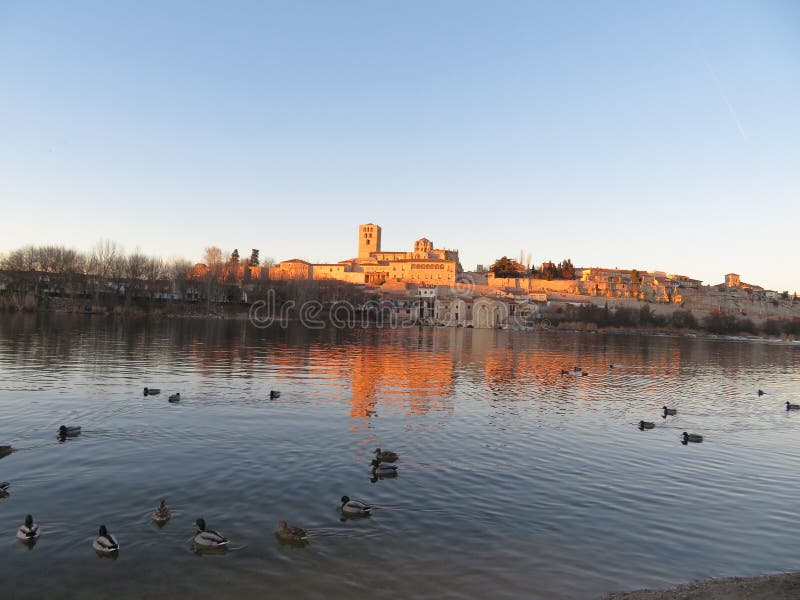 -999999999 fotografia de stock royalty free