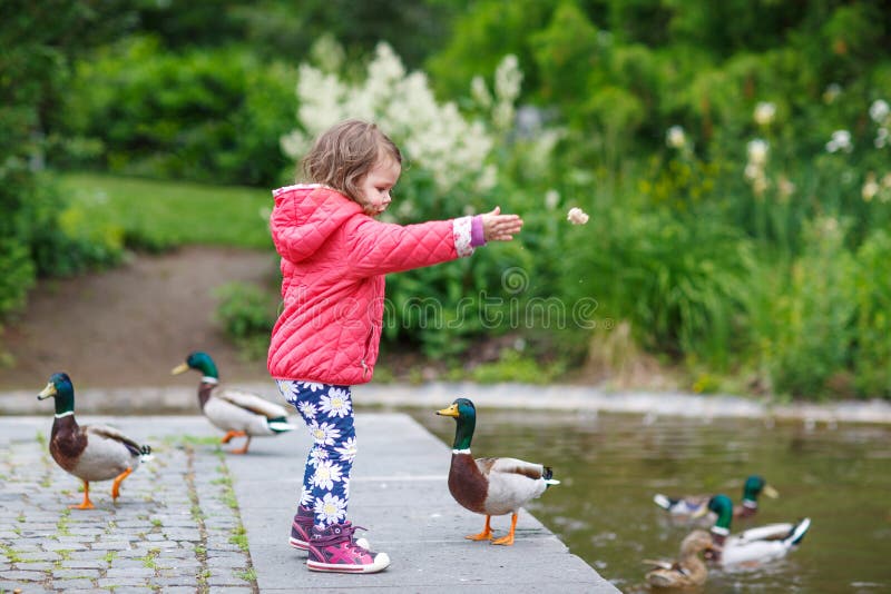 Aanbiddelijke meisje voedende eenden bij de zomer stock afbeelding Aanbiddelijke meisje voedende eenden bij de zomer stock afbeelding