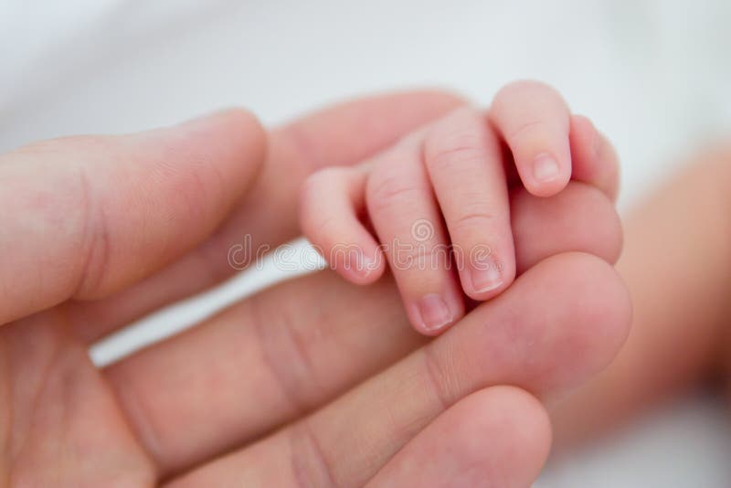 Aanraking van liefde royalty-vrije stock afbeeldingen Aanraking van liefde royalty-vrije stock afbeeldingen