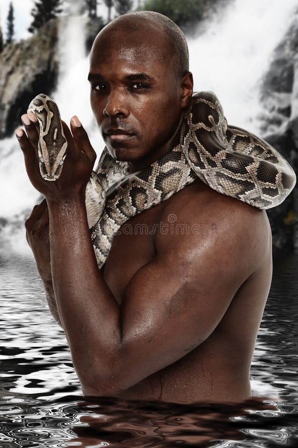 Aantrekkelijke Zwarte Mens met Constrictor van de Boa Slang stock afbeeldingen Aantrekkelijke Zwarte Mens met Constrictor van de Boa Slang stock afbeeldingen