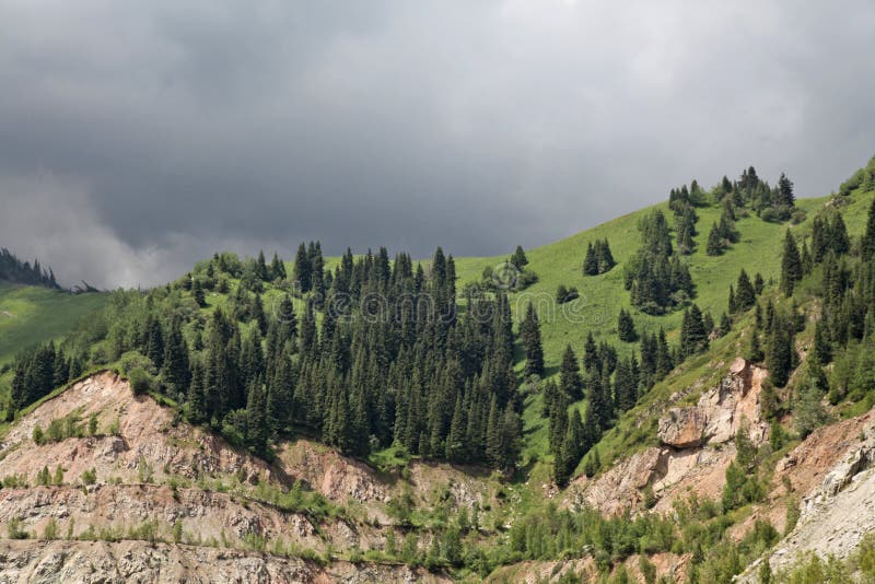 Aard van groene bomen en onderstellen, dichtbij Medeo in Alma Ata, Kazachstan, Azië stock foto's Aard van groene bomen en onderstellen, dichtbij Medeo in Alma Ata, Kazachstan, Azië stock foto's