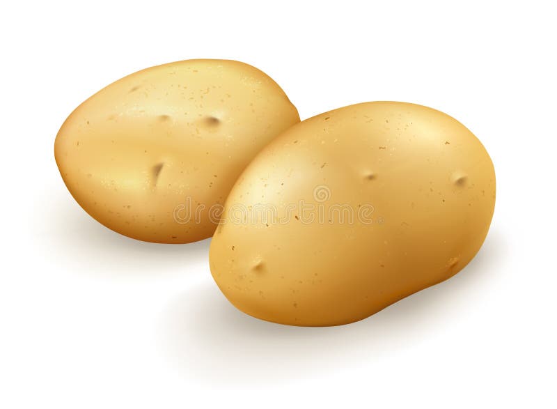 Aardappels royalty-vrije illustratie