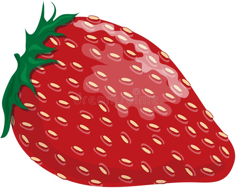 Aardbei stock illustratie