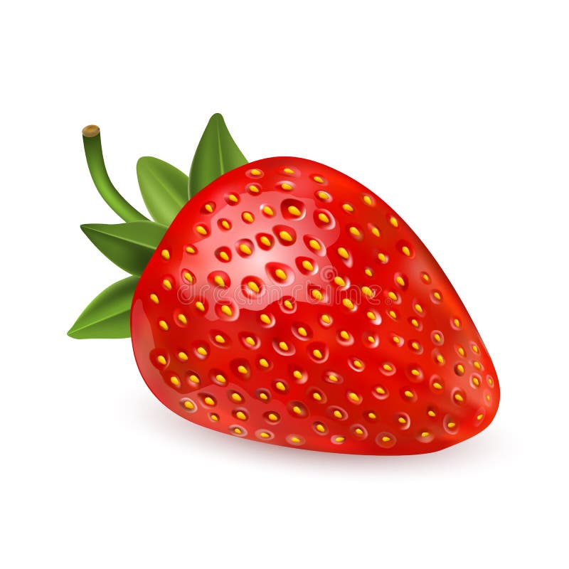 Aardbei Zoet fruit 3d vector geplaatste pictogrammen Realistische illustratie Vector van het aardbei de Realistische pictogram royalty-vrije illustratie Aardbei Zoet fruit 3d vector geplaatste pictogrammen Realistische illustratie Vector van het aardbei de Realistische pictogram royalty-vrije illustratie