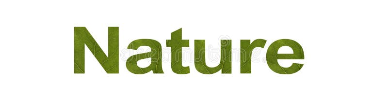 AARDwoord van groen blad dat op witte achtergrond, macroschot wordt geïsoleerd Concept: milieuvriendelijk, tekst vector illustratie AARDwoord van groen blad dat op witte achtergrond, macroschot wordt geïsoleerd Concept: milieuvriendelijk, tekst vector illustratie