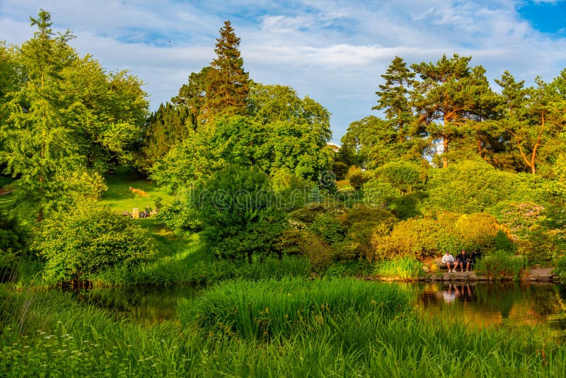 Aarhus Botanical Garden in Denmark Stock Photo Image of field