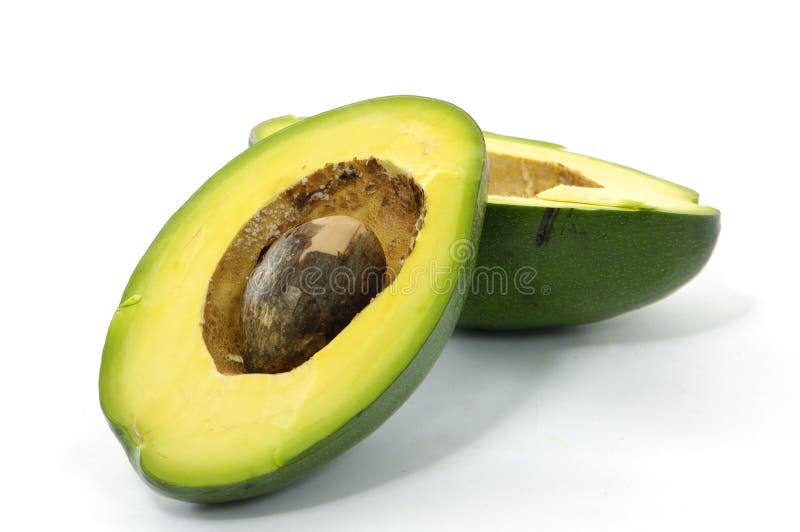 Abacate imagem de stock