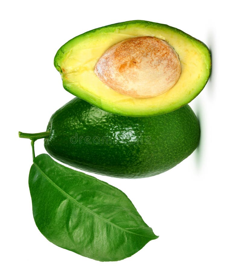Abacate com folhas imagem de stock