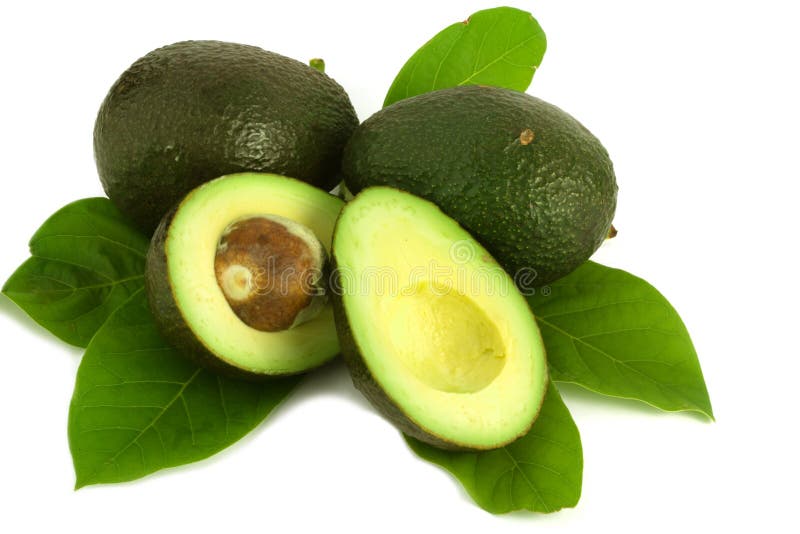 Abacate com folhas fotos de stock royalty free