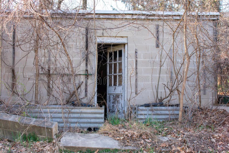 An Abandoned Concrete Building With the Door Slightly Open and Dead Vines Climbing up the Wall