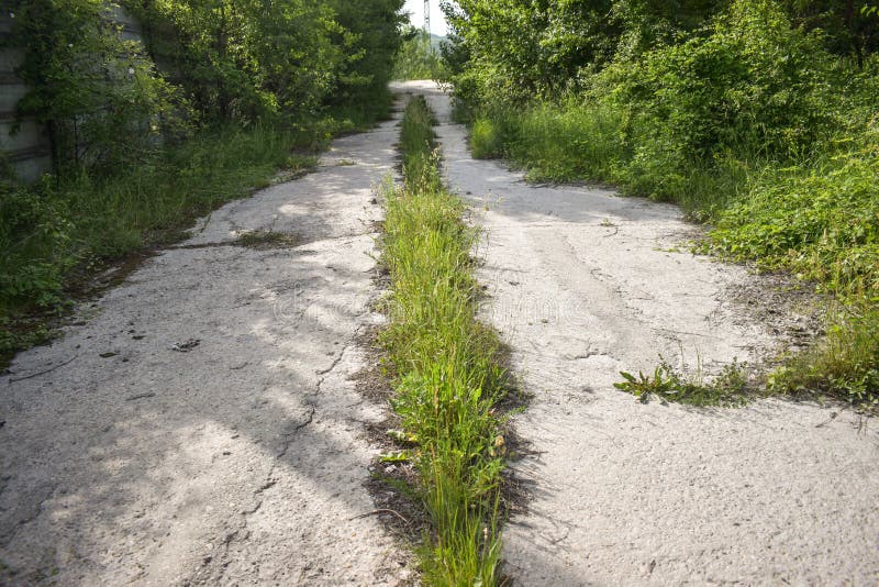 Abandoned asphalt cracked road with overgrown plants and grass in the middle of nowhere in some ghost city.  The concept of