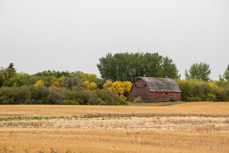 Abandoned Barn in Rural Saskatchewan, Canada Stock Photo Image of