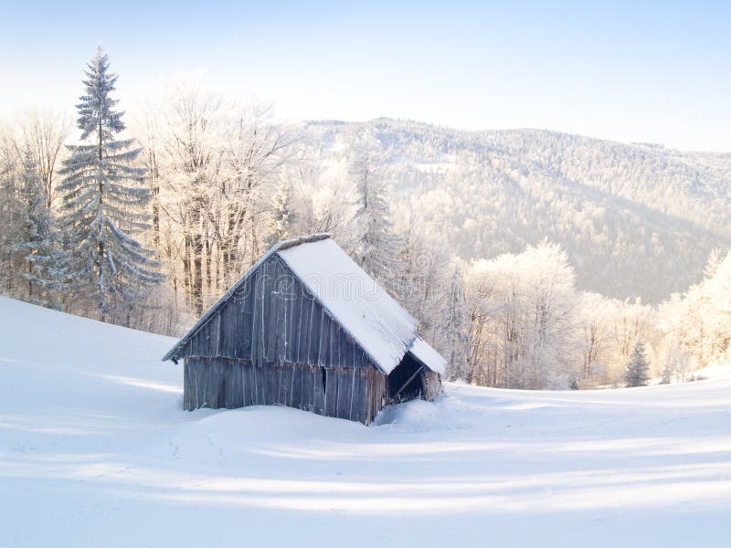 Abandoned cabin