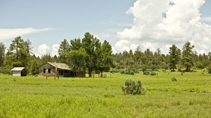 Abandoned Cabin