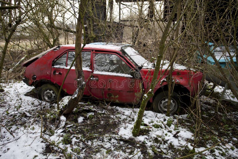 Abandoned car behing trees