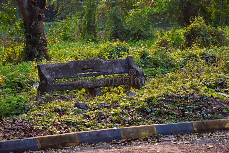 Abandoned cement bench covered with moss on the footpath at Indian Botanic Garden of Shibpur, Howrah near Kolkata. Soft focus