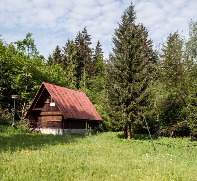 Opustená chata na lúke so stromami okolo