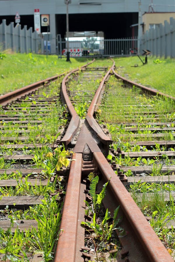 Abandoned Converging Railroad Tracks Stock Image - Image 