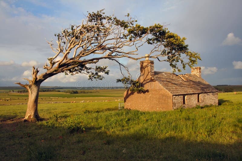 Abandoned Croft House