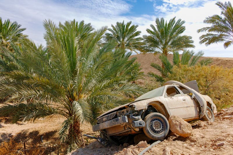 Abandoned dusted wreck of crashed passanger car near date palm t royalty free stock image Abandoned dusted wreck of crashed passanger car near date palm t royalty free stock image