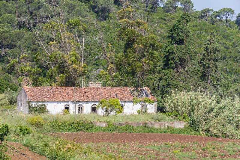 Abandoned Farm House and Plantation in Santiago Do Cacem Stock Image ...