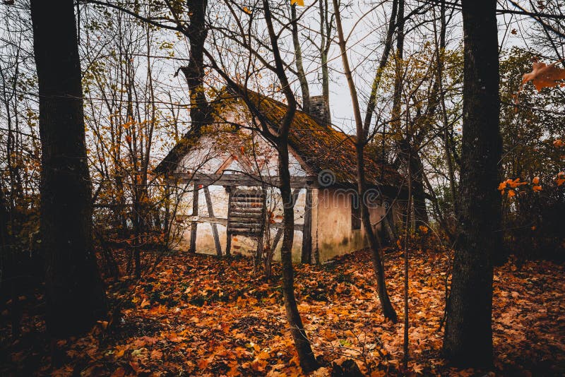 Abandoned house in autumn colored forest