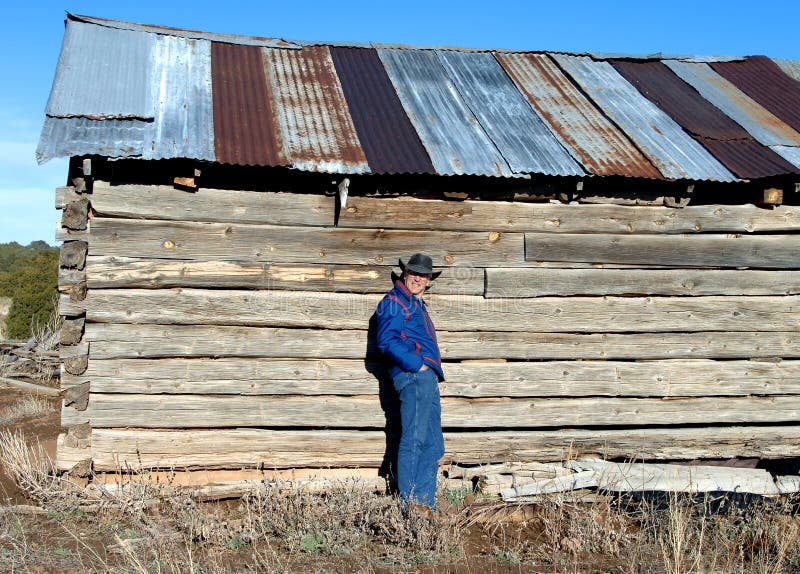 Abandoned log cabin