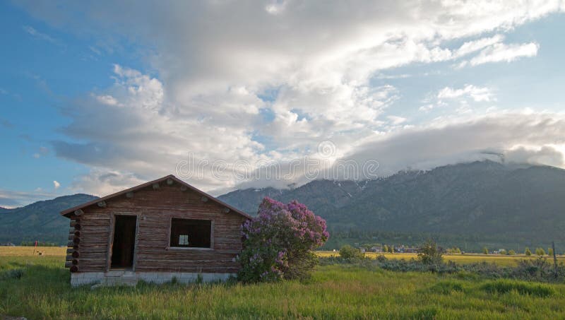 Abandoned Log Cabin along the Snake River in Alpine Wyoming US stock photography Abandoned Log Cabin along the Snake River in Alpine Wyoming US stock photography