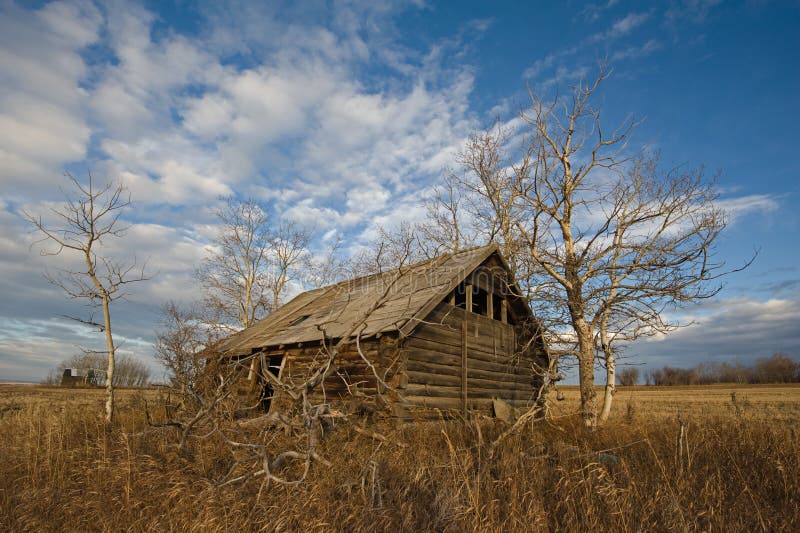 Abandoned log cabin in fall