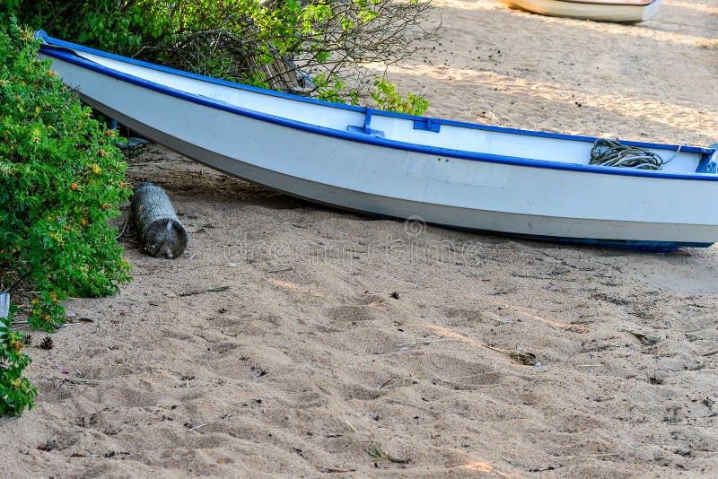 Abandoned rowboat stock image. Image of lake, mistake - 50573359