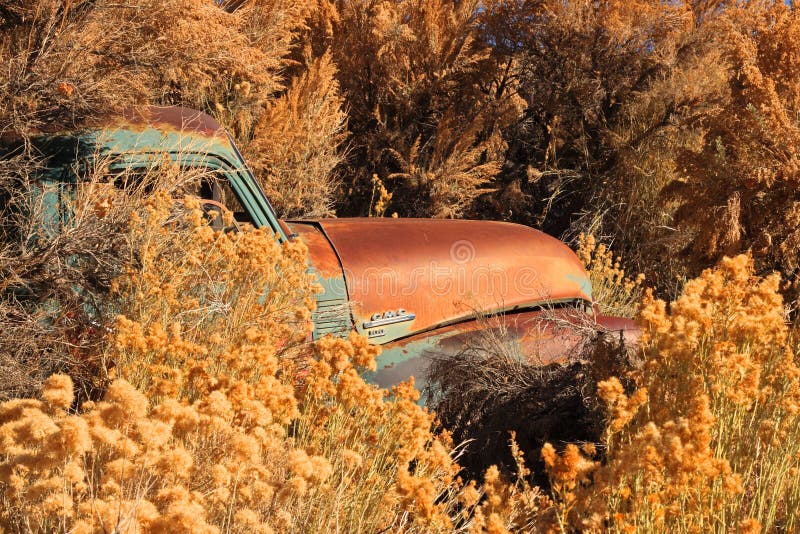 8 832 Abandoned Truck Photos Free Royalty Free Stock Photos From Dreamstime