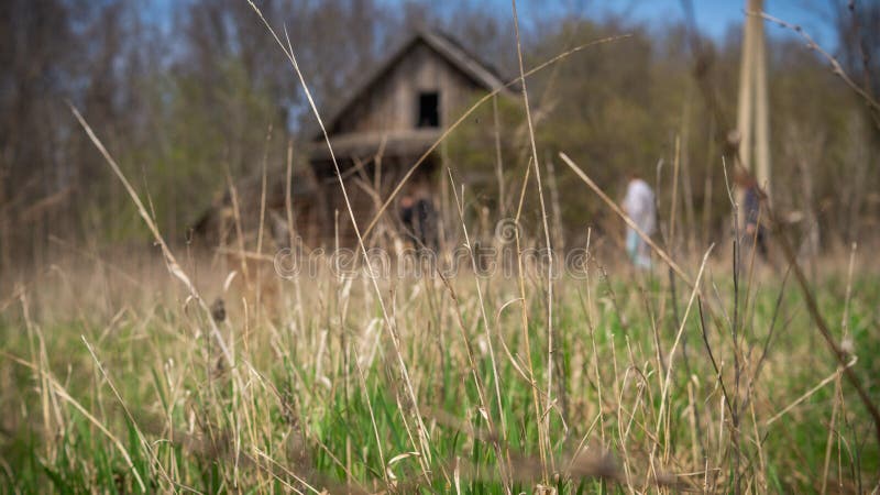 Abandoned village in the forest royalty free stock images