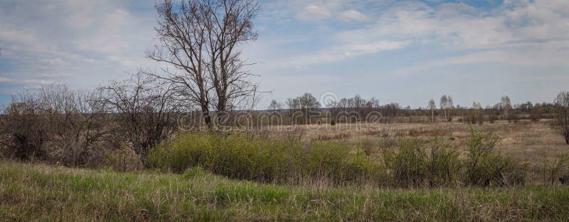 Abandoned village in the forest royalty free stock photo